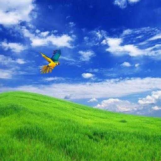 Clever Bird 1.0