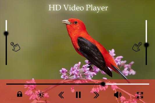 HD Video Player Pro screenshot 5