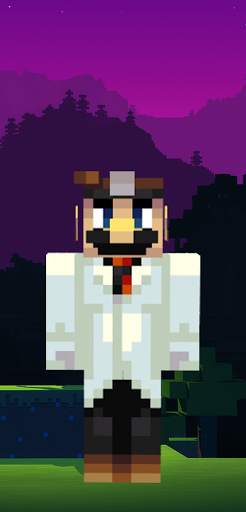 Mario Skins for Minecraft screenshot 1