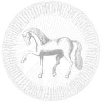 VetMed LMU