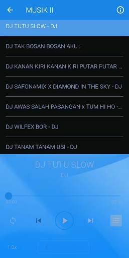 DJ SET FIRE TO THE RAIN REMIX VIRAL screenshot 4