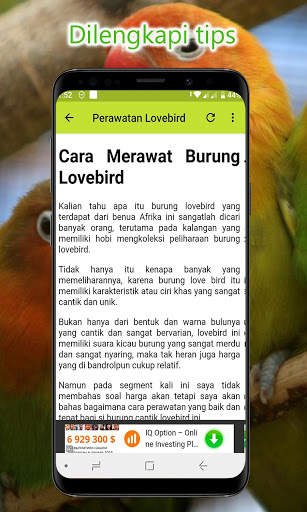 Masteran Lovebird Lengkap Offline screenshot 6