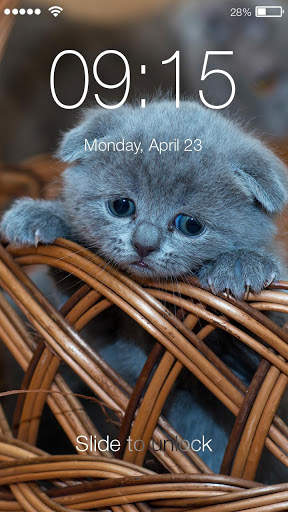 Cat Kitten PIN Screen Lock screenshot 1