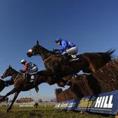 Horse Racing Tips icon