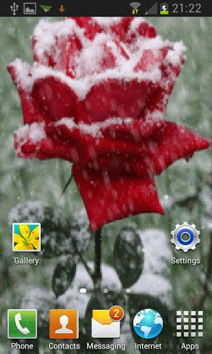 Icy Red Rose Live Wallpaper screenshot 2