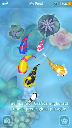 Zen Koi 2 screenshot 5