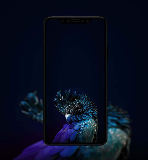 Beautiful Bird Wallpaper 5 تصوير الشاشة
