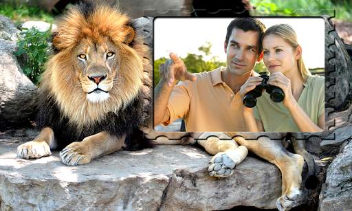 Lion Photo Frames screenshot 8