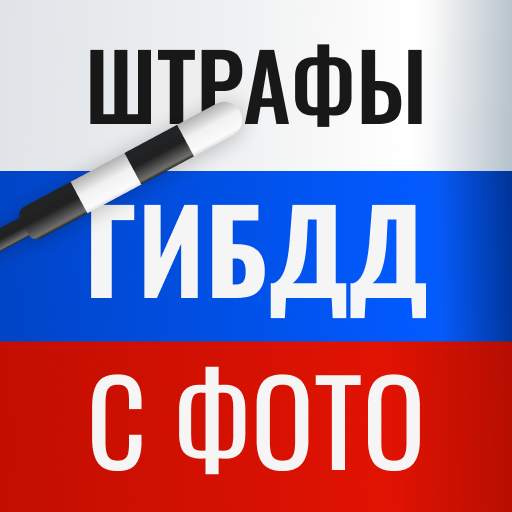 Штрафы ГИБДД с фотографией 2.20