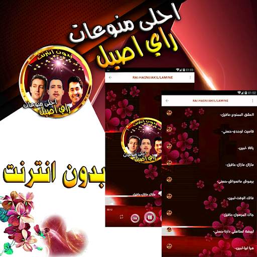 Songs of Rai Lamine-hasni-akil without Internet screenshot 3