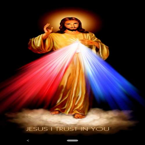 Chaplet of the Divine Mercy 1 تصوير الشاشة