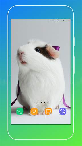 Guinea Pig Wallpaper screenshot 13