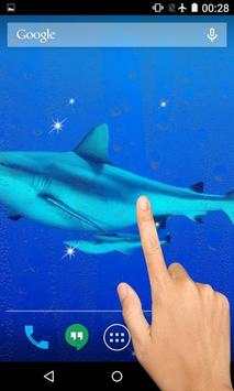 Shark Live Wallpaper screenshot 5