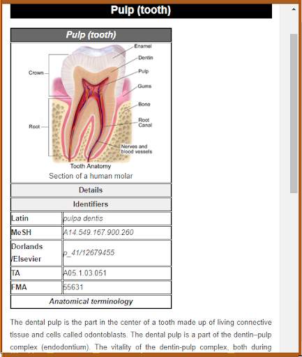 Basic Dental Surgery screenshot 7