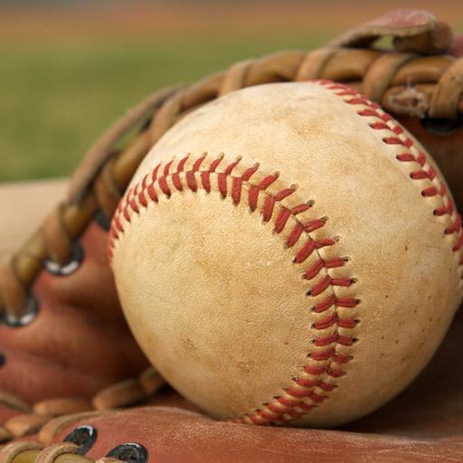 Baseball Word Search FREE icon