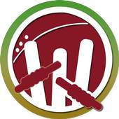 CrickInfo 1.0