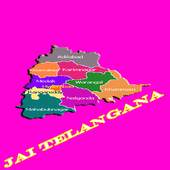 Telangana  Celebrations 1.0