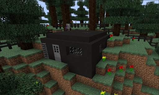 Camera Mod screenshot 2