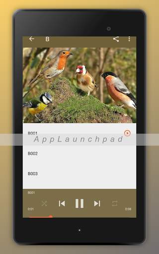 Bird Songs Ringtones screenshot 11