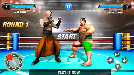 Pro Wrestling Revolution Fight screenshot 4