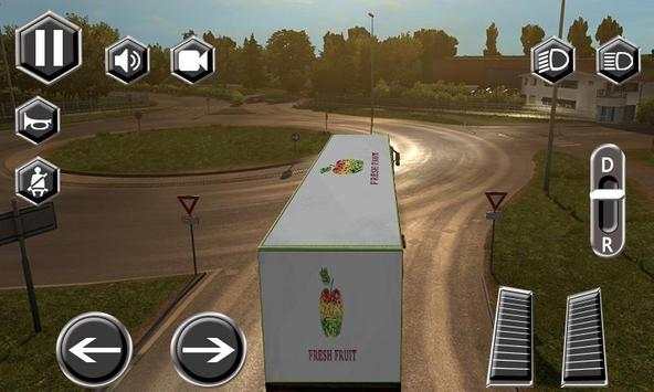 Real Truck Driver Driving Sim 3D screenshot 2