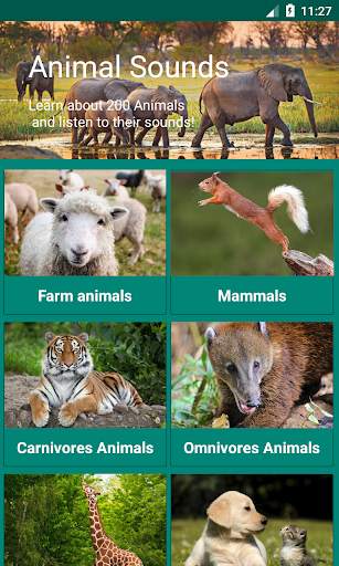 Natural Animal Sounds and HD Wallpaper screenshot 7