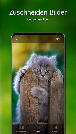 Hintergrundbilder mit Kätzchen screenshot 4