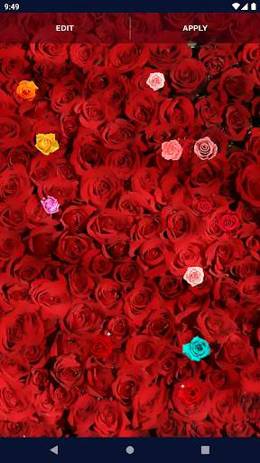 Red Rose Live Wallpaper screenshot 4
