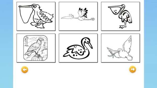 Bird Coloring Book for Kids screenshot 2