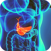 abdominal ultrasound of gallbladder icon