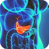abdominal ultrasound of gallbladder 1.0