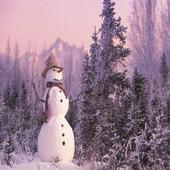 Winter Wallpapers icon