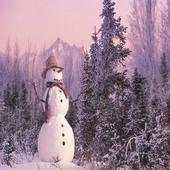 Winter Wallpapers 1.0