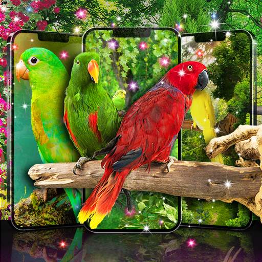 Live wallpapers birds 22.6