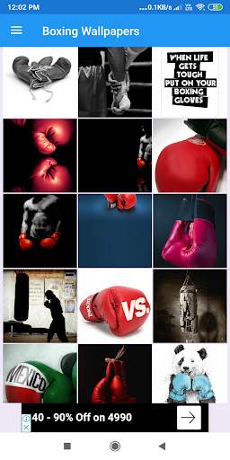 Boxing HD Wallpapers screenshot 5