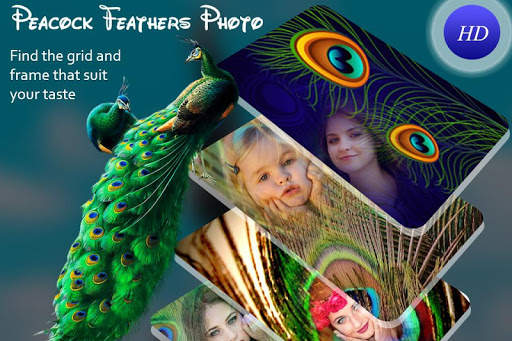 Peacoke Photo Frame 2018 screenshot 4
