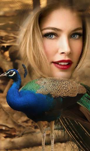 Peacock Photo Frames screenshot 5