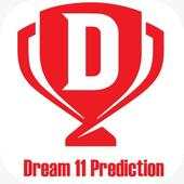 Dream 11 25.1231256.1