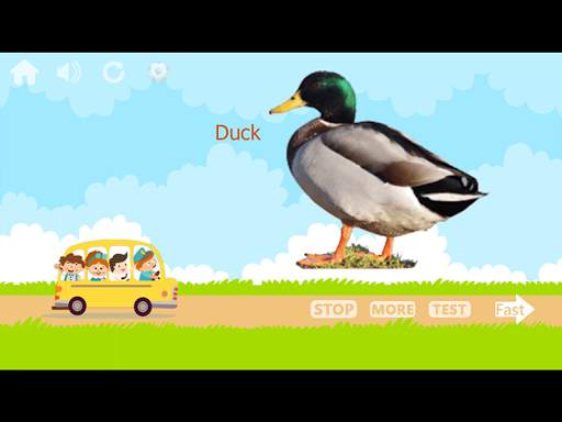 100 Animals and Birds for kids स्क्रीनशॉट 14