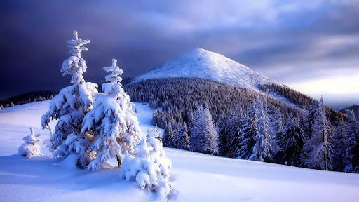 Winter Wallpapers : backgrounds hd screenshot 18