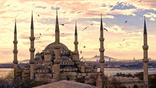 Blue Mosque Live Wallpaper screenshot 9