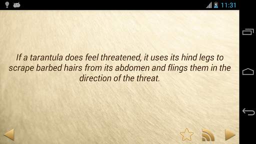 Amazing Animal Facts OFFLINE screenshot 6