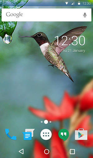 Colibri Live Wallpaper Theme screenshot 4