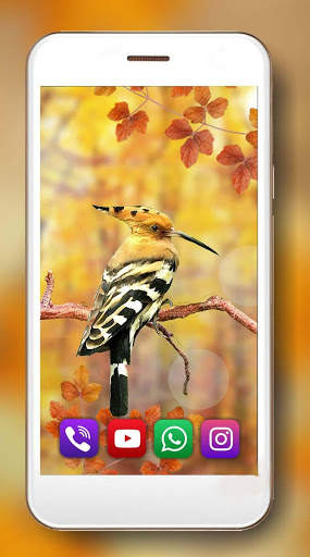 Autumn Birds Live Wallpaper screenshot 1