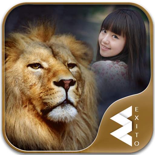Lion Photo Frames 1.22