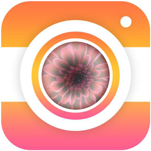 PIP CAM - Photo Maker 1.5