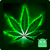 Weed Rasta Launcher Theme icon