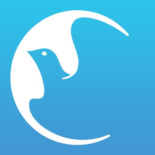Dove Channel 3.1.1