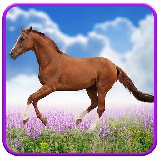 Horse Live Wallpaper 1.0