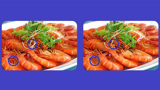 Spot The Differences Game screenshot 24